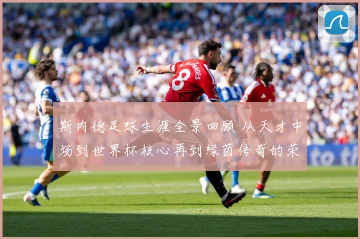 斯内德足球生涯全景回顾 从天才中场到世界杯核心再到绿茵传奇的荣耀征程：最新赛事动态与深度分析