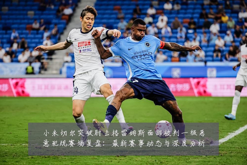 小米切尔突破肘击格雷姆斯面部被判一级恶意犯规赛场复盘：最新赛事动态与深度分析